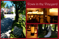 vows-in-the-vineyard-2